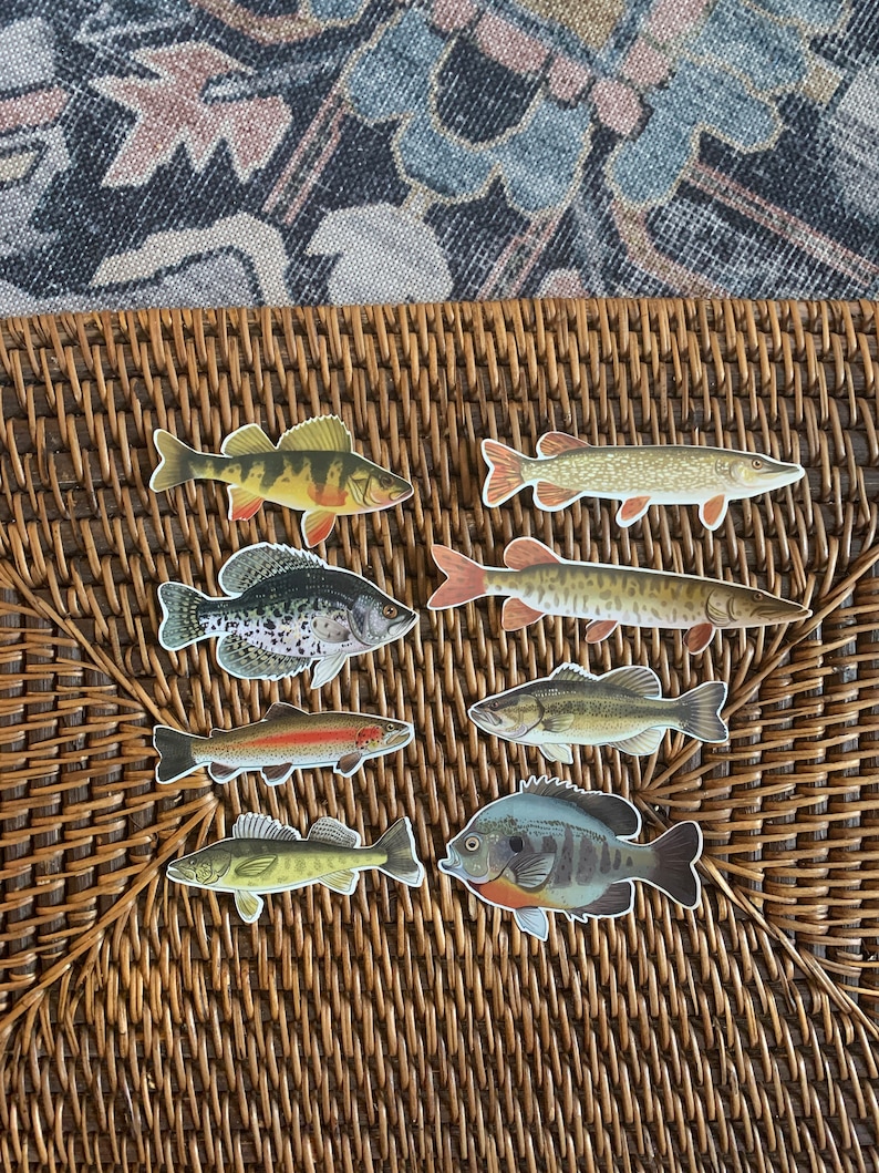 May include: Eight different fish stickers on a woven brown wicker surface. The stickers are of various fish species, including a bass, a crappie, a walleye, a trout, and a perch.