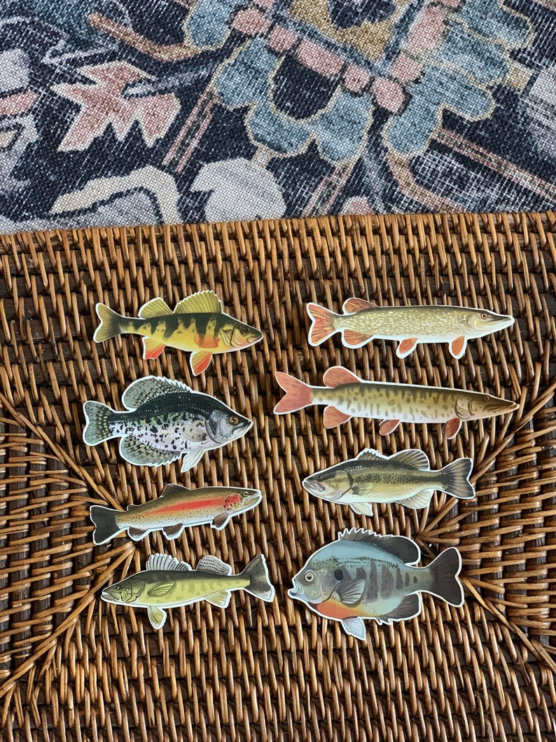 May include: Eight different fish stickers on a woven wicker surface. The stickers feature a variety of fish species, including bass, crappie, trout, and pike. The stickers are printed in realistic colors and details.