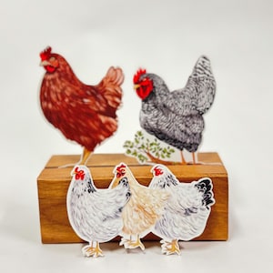 Chicken Sticker Pack | Waterproof Stickers | Car Window Sticker | Farm Animal Decal | Teacher Gift | Hen Stickers | Laptop Stickers