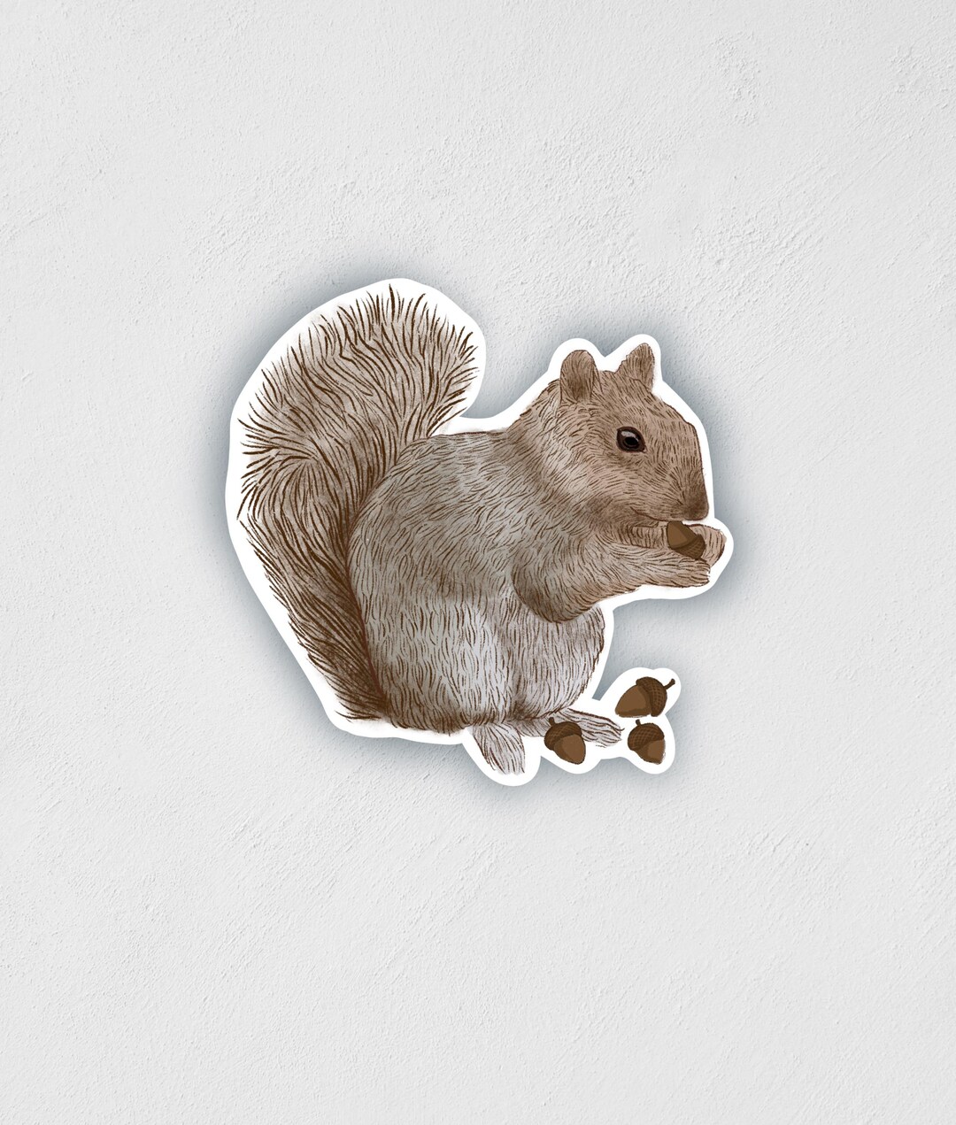 Hand-drawn Squirrel Sticker: Waterproof Wildlife Decal - Etsy