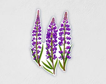 Lupine Flowers Sticker: Waterproof Wildflower Decal - Little Rocks Design