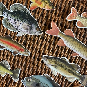 May include: A set of colorful fish stickers featuring a variety of species, including a bass, crappie, trout, and perch. The stickers are printed on a white background and are perfect for adding a touch of whimsy to any project.