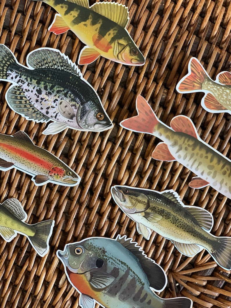 May include: A set of colorful fish stickers featuring a variety of species, including a bass, crappie, trout, and perch. The stickers are printed on a white background and are perfect for adding a touch of whimsy to any project.