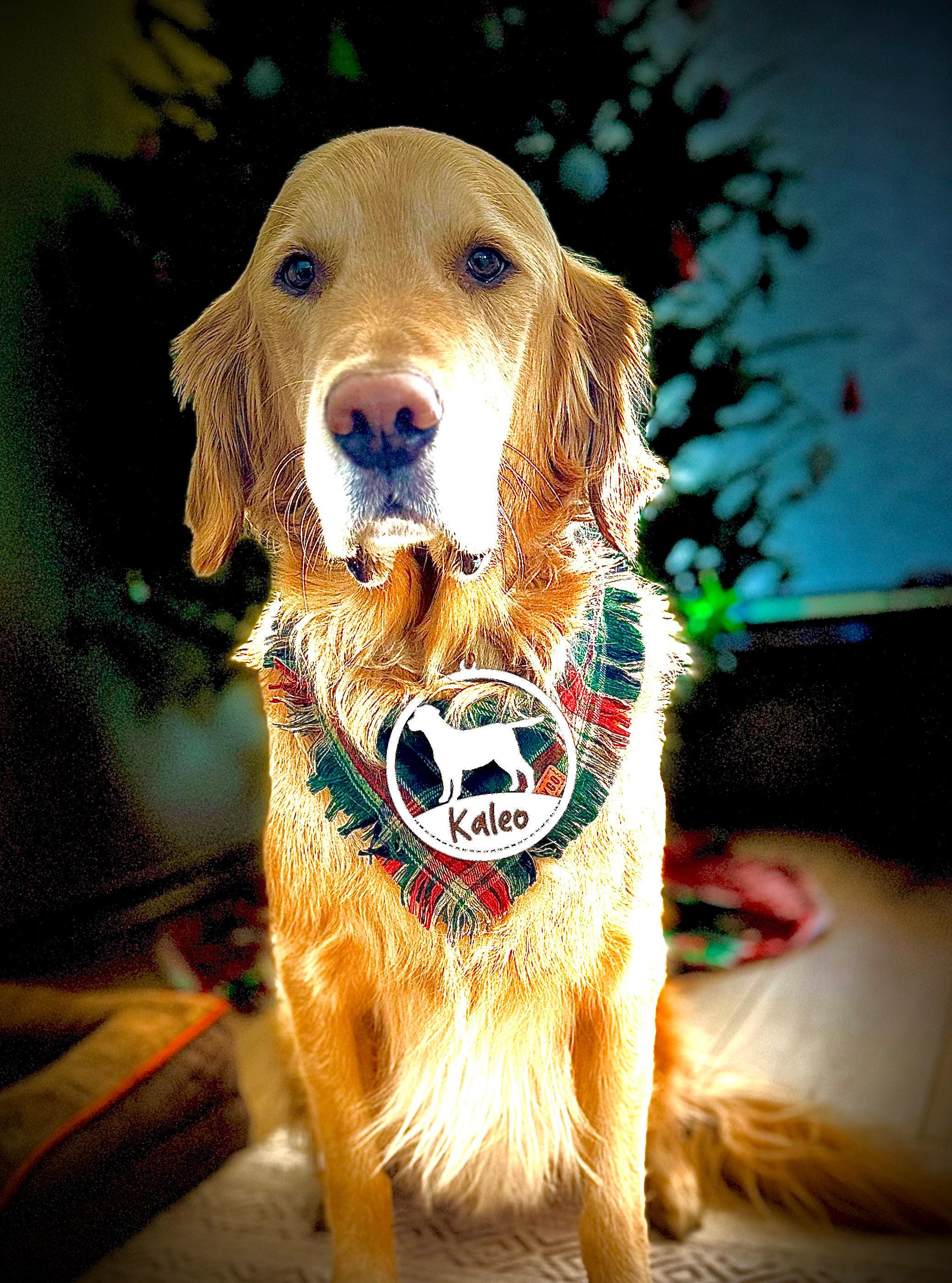 Personalized Dog Ornaments • 40 Breeds • Custom Pet Name Ornament • Cat ...