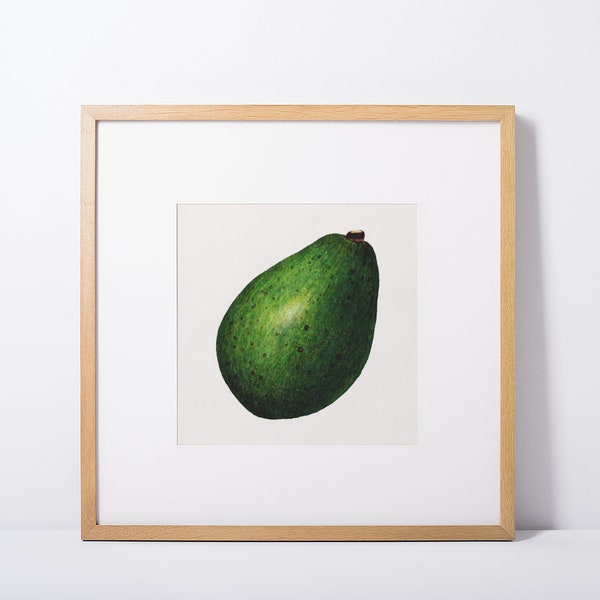 Avocado Print, Tropical Kitchen Decor, Modern Kitchen Art, Tropical Fruit, Green Wall Art, Printable Poster, Digital Download, 8x8, 5x5