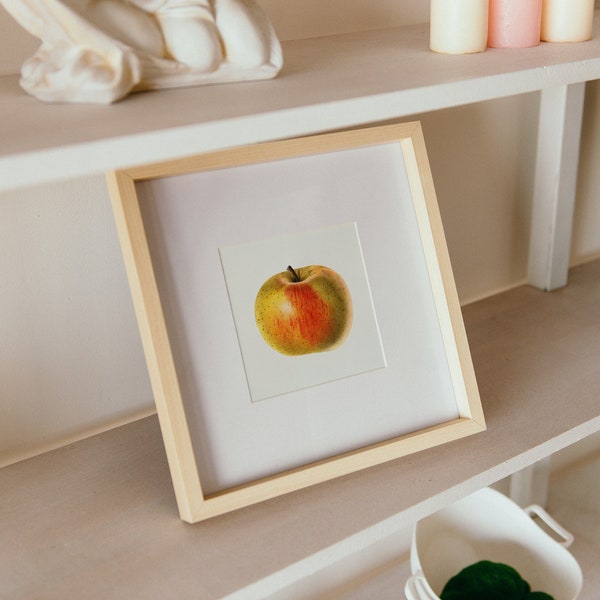 Apples Printable Art, Antique Fruit Illustration, Apple Branch Botanical Wall Art, Instant Download, 8x8, 5x5, square print