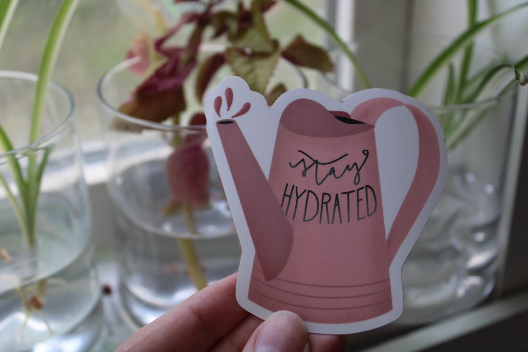 Stay Hydrated Watering Can Vinyl Sticker Etsy