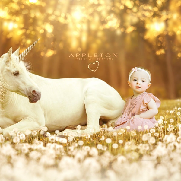 Unicorn Golden Dandelion Field Digital Backdrop/Composite Background for Photographers and PNG grass overlay Jpg instant download file