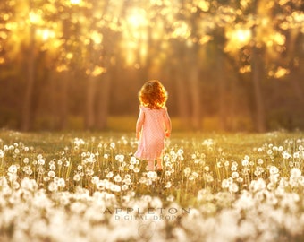 Golden Sunset Field Digital Background/Backdrop, Composite Photoshop Background, jpg instant download