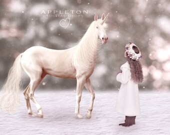 Snow Unicorn Digital Background/Backdrop/Composite Background for Photographers, Jpg instant download file