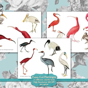 Fussy Cut Birds Printable Ephemera, Vintage Flamingos Fussy Cuts Scrapbook Supplies, Junk Journal Embellishments Digital Download,