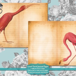 Gefütterte Flamingo Junk Journal Seiten Digital Download, Druckbare Flamingo Vogel Seiten für Journal Kits, Scrapbook Zubehör Blanko Gefüttert Papier