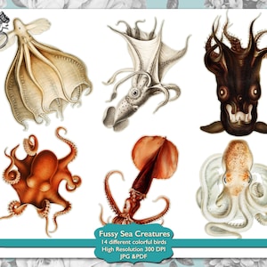 Printable Fussy Cuts Sea Creature Ephemera for Junk Journals Scrapbook. Digital Download Vintage Fussy Cuts Ocean Animal Scrapbook Supplies