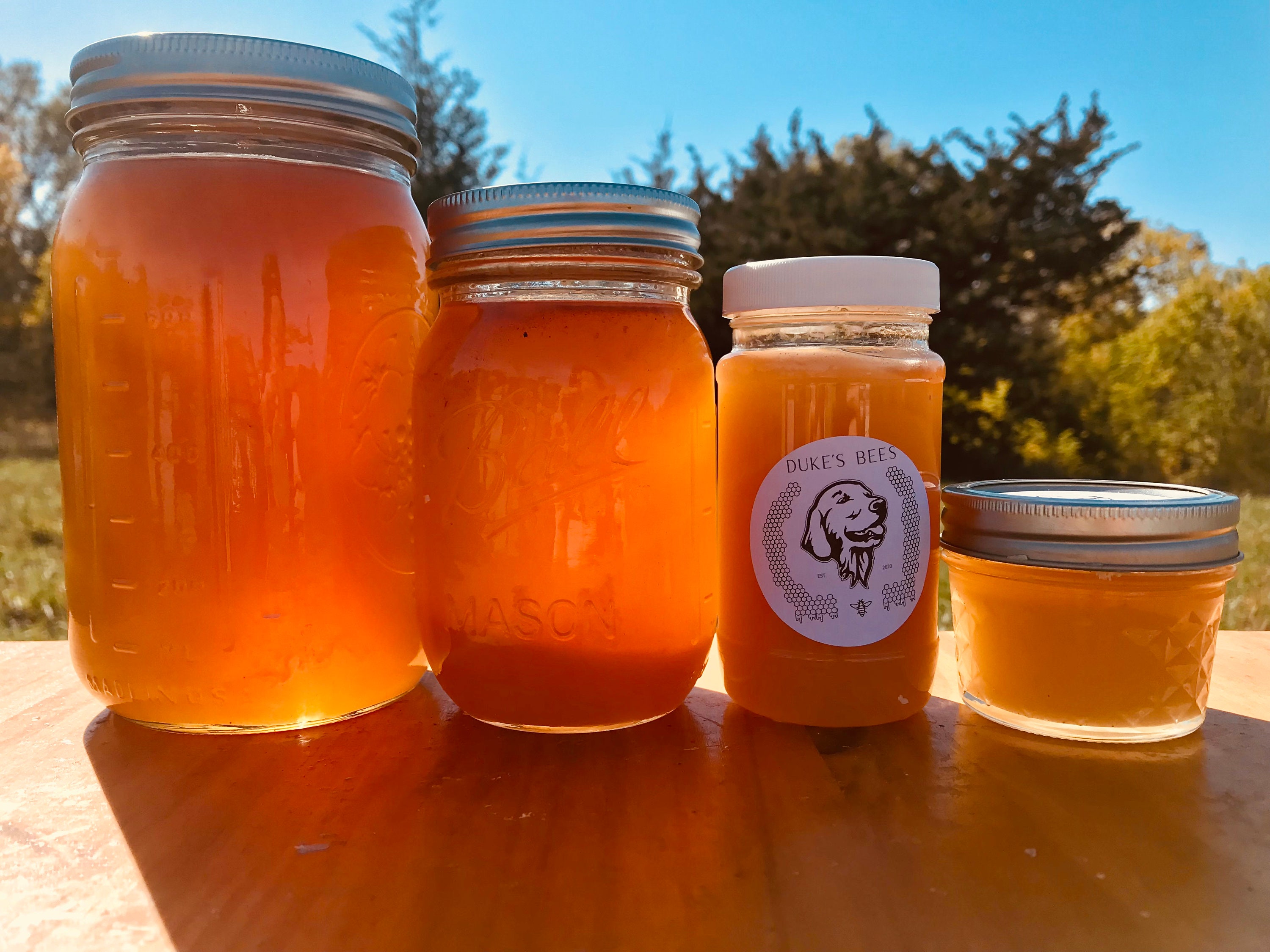Quart of Honey Etsy