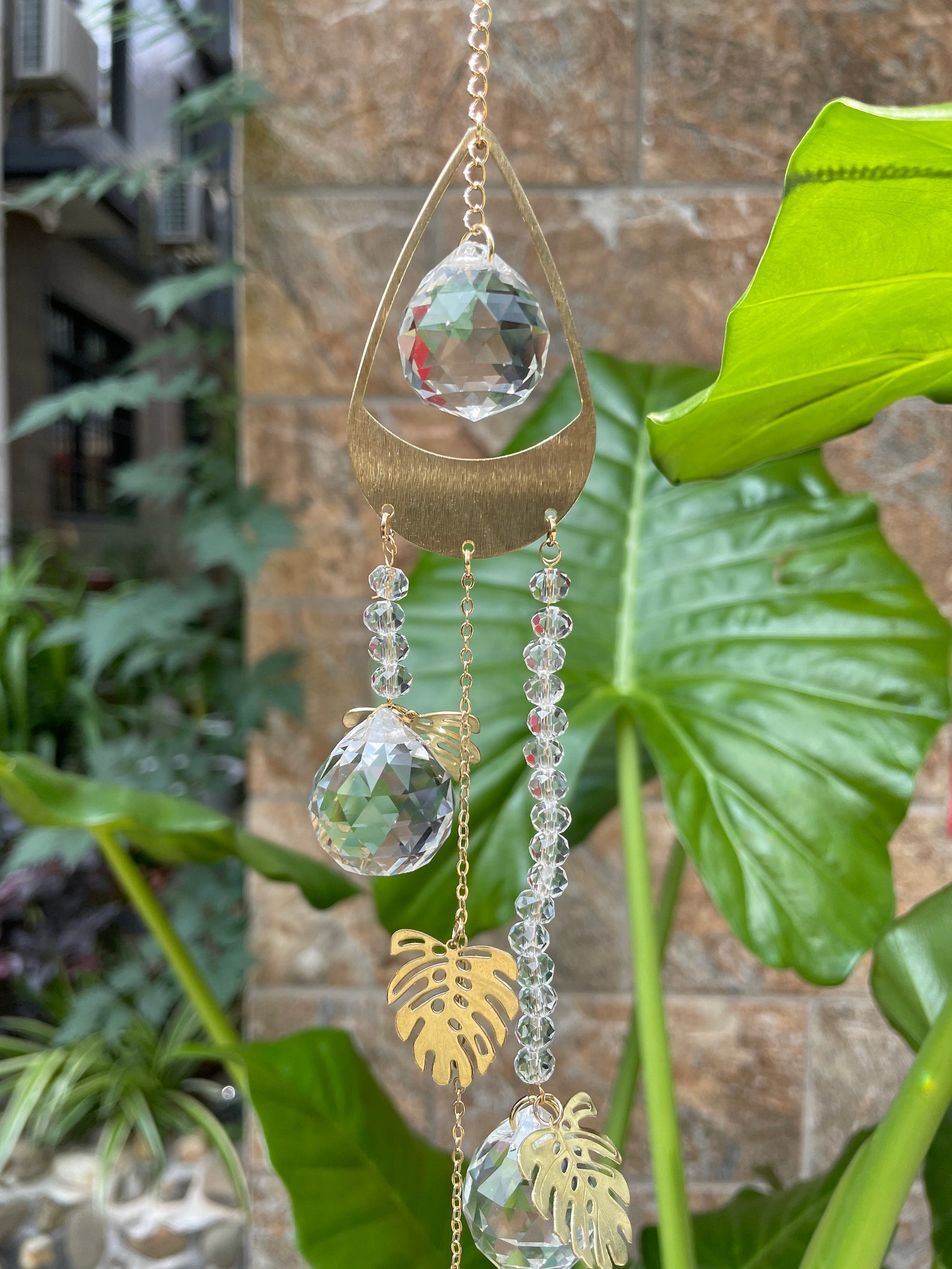 Sun catcher/ Crystal suncatcher/Leaf Wall hanging/plant moon Etsy