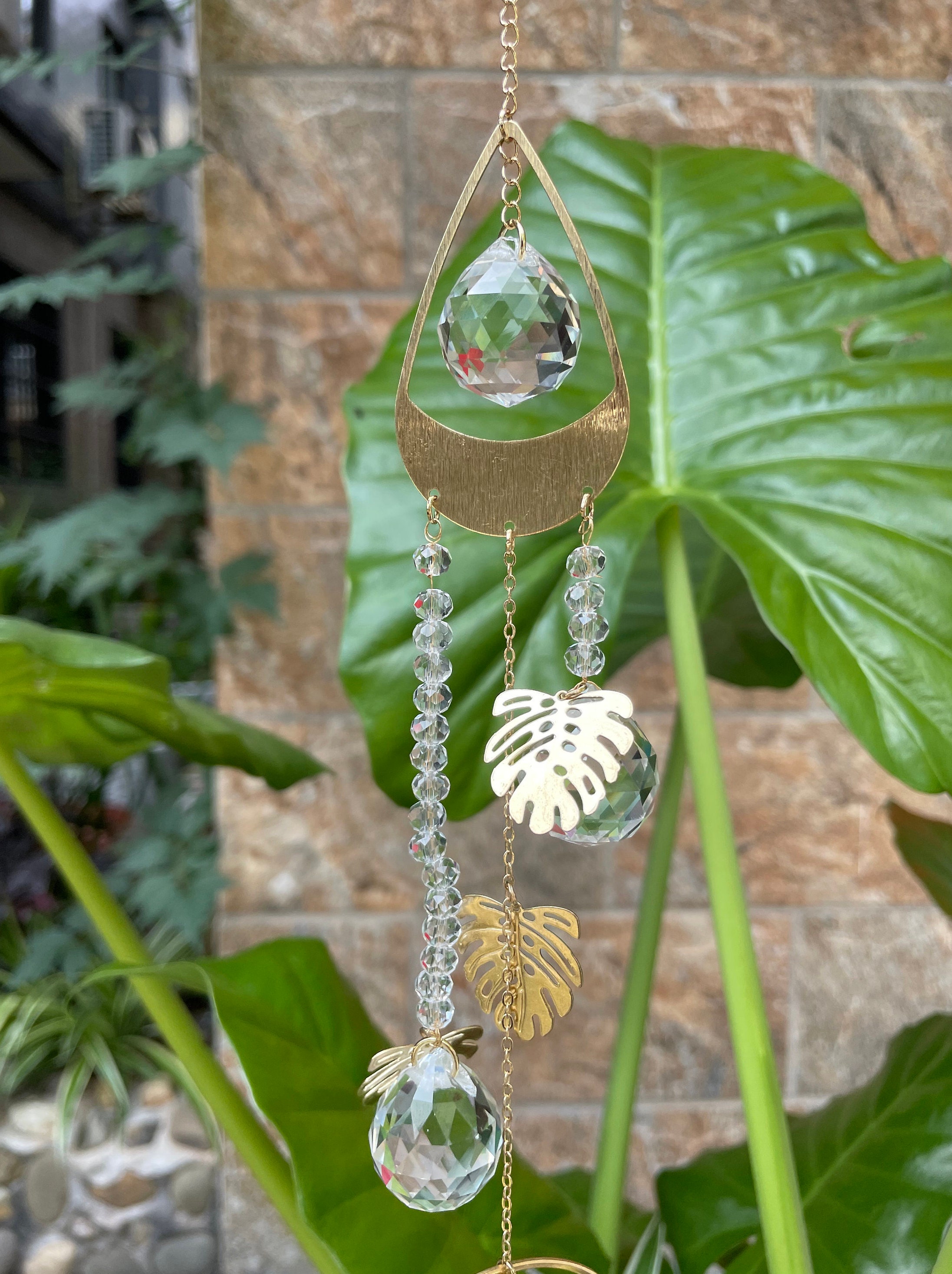 Sun catcher/ Crystal suncatcher/Leaf Wall hanging/plant moon Etsy