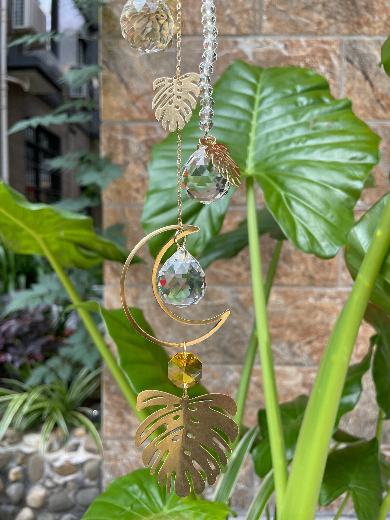Sun catcher/ Crystal suncatcher/Leaf Wall hanging/plant moon Etsy