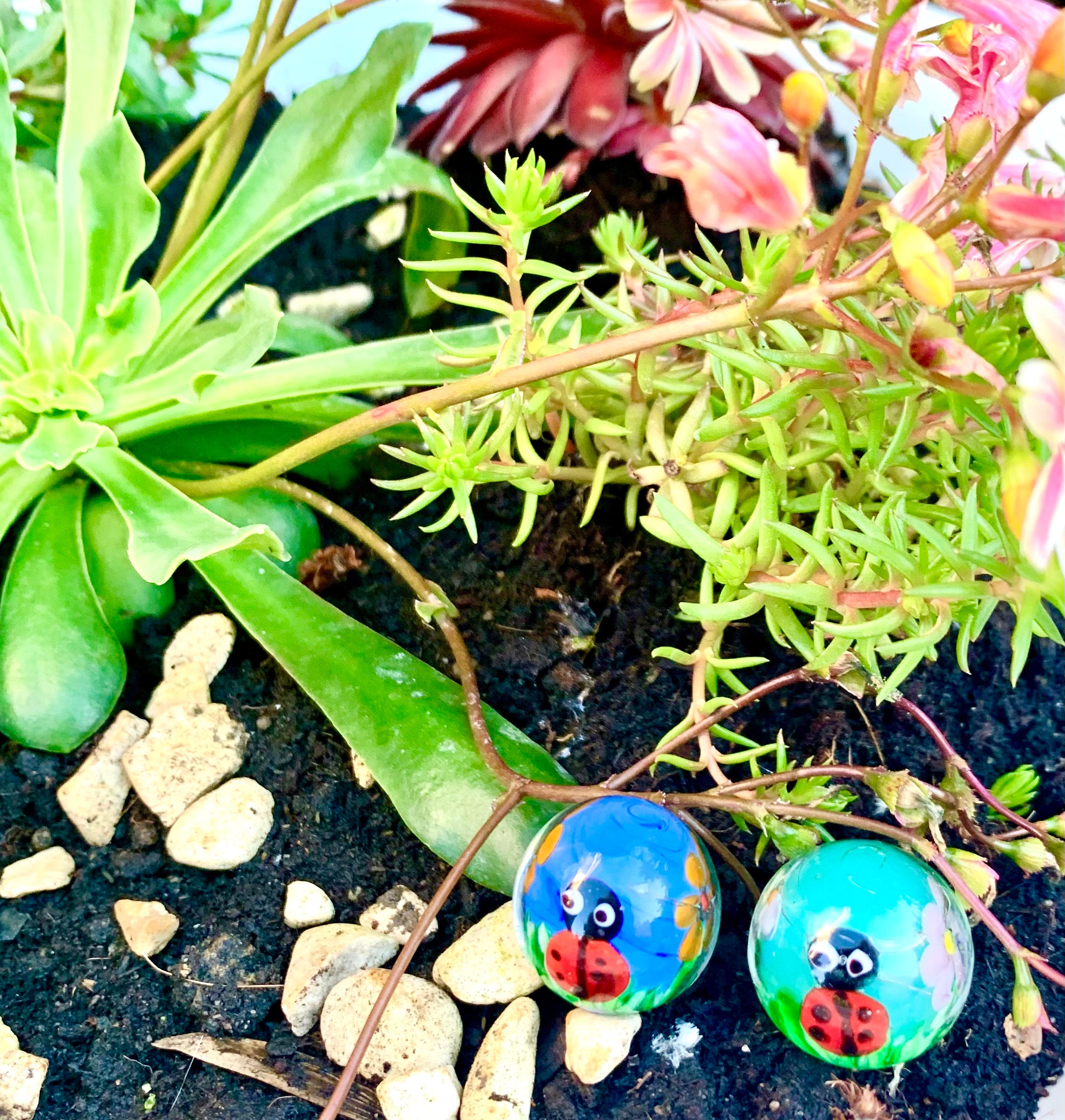 Dot & Spot - Handmade Cute Kids Glass Marbles Ladybird Ladybug Gift ...