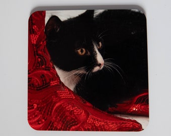 Cat  and her red sequin boots coaster