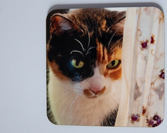 Cute Calico coaster