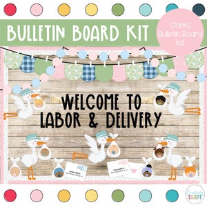 Storks - Welcome Baby - Labor and Delivery Nurse - Health Bulletin Board Kit