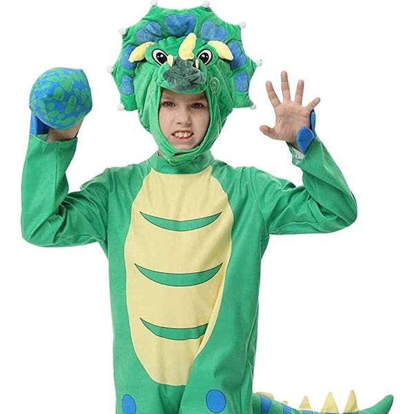 Kids dinosaur costume.