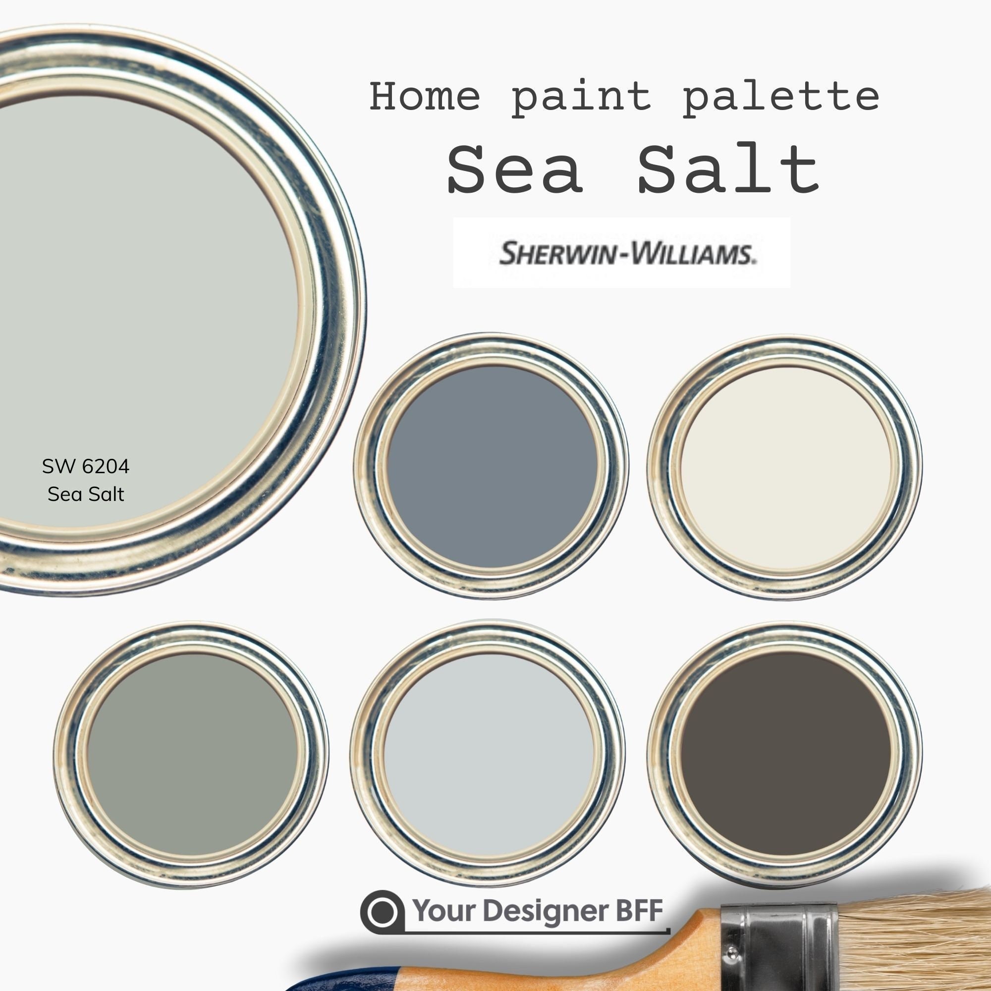 Sea Salt Sherwin Williams SW 6204, Modern Coastal Paint Scheme