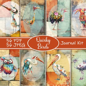 Quirky Birds Junk Journal Kit, Printable Whimsical Bird Ephemera, Vintage Feather Pages, Digital Download, Funny Birds Scrapbook