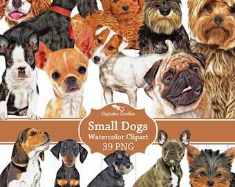 Kleine hondenrassen aquarel clipart, schattige puppy illustraties, handgeschilderde stijl honden, digitale png-download