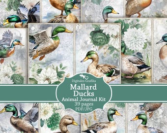 Mallard Ducks Junk Journal Kit Printable, Vintage Waterfowl Ephemera, Nature Pond Pages, Digital Download