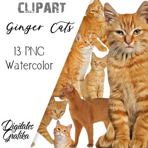 WATERCOLOR GINGER CATS Clipart, Kitten Clip Art, Animal Clip Art, Commercial Clipart, Watercolor Pets, Cat Watercolor Clip Art