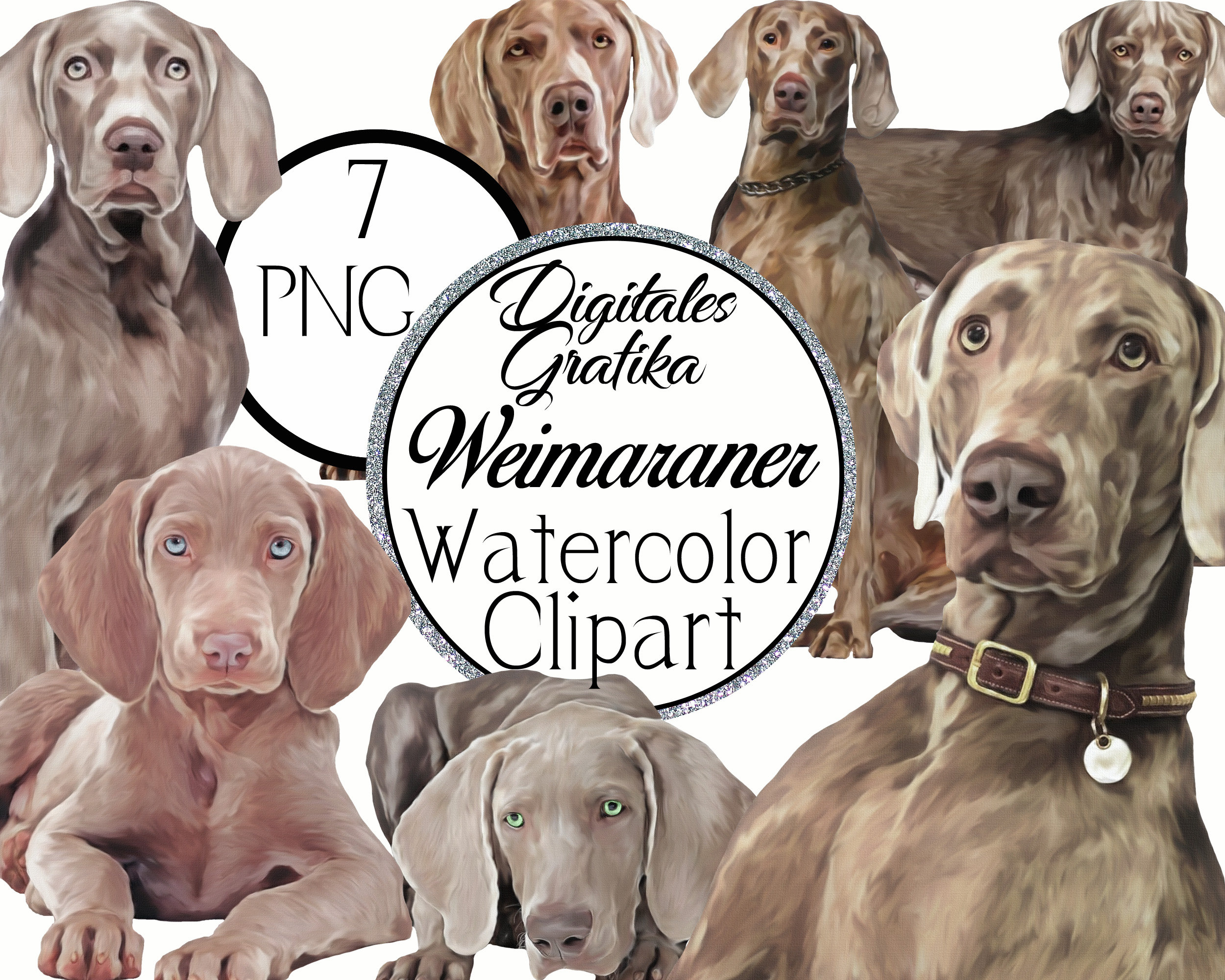 Braco de weimar png - Etsy México, image size:2500x2000