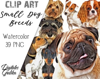 WATERCOLOR SMALL DOG Breeds Clipart, Puppy Clip Art, Animal Clip Art, Commercial Clipart, Watercolor Pets