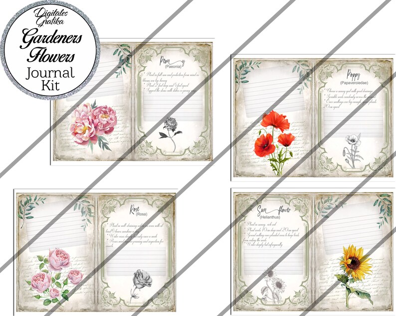 May include: A set of four printable journal pages featuring vintage floral illustrations and text about different flowers. The flowers include a poppy, a rose, a sunflower, and a pron.