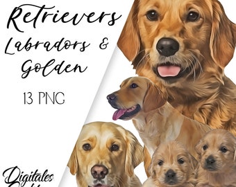 May include: A digital clipart set of 13 golden retriever dogs in various poses. The dogs are all different ages and sizes, and some are puppies. The clipart is perfect for use in digital scrapbooking, card making, and other craft projects.