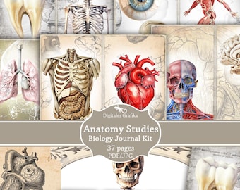 Anatomy Studies Junk Journal Kit: Printable Medical Ephemera (PDF/JPEG)