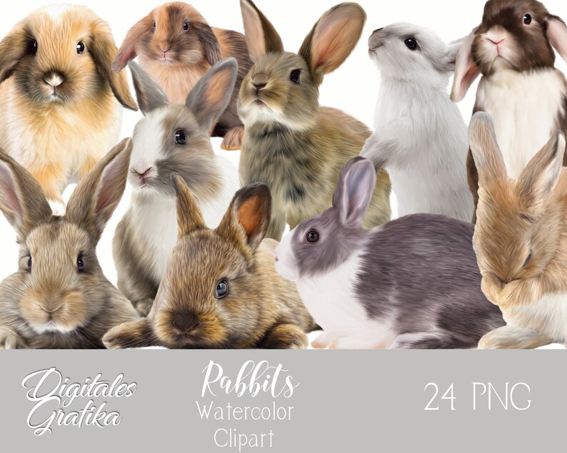 Watercolor Bunny Clipart: 24 PNG Rabbit Graphics (digital Download) - Etsy