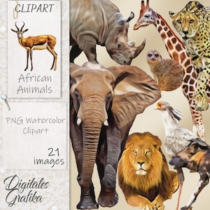 ANIMALI AFRICANI ACQUERELLO ClipArt, ClipArt africana, ClipArt animali, ClipArt commerciale, ClipArt leone, ClipArt elefante