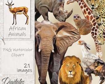 Watercolor African Animals Clip Art: 21 PNG Images (Digital Download)