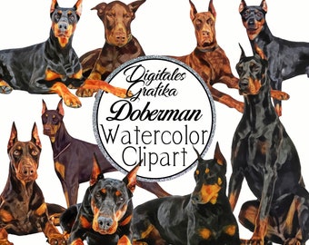 Doberman Unique Gift Sublimation New keyrings with Purebred Dogs Art Dog Ltd Doberman Unique Gift Sublimation New keyrings with Purebred Dogs Art Dog Ltd