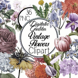 VINTAGE FLOWERS WATERCOLOR Clipart, Flower Clip Art, Vintage Clip Art, Commercial Clipart, Rose Clipart, Daisy Clipart