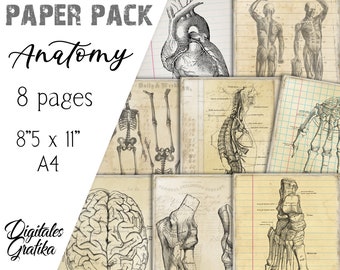 ANATOMY PAPER PACK | Anatomy Scrapbook Paper | Human Body Paper | Download | Printable | Vintage Paper