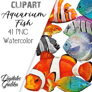 WATERCOLOR AQUARIUM FISH Clipart, Fish Clipart, Designer Clip Art, Planner Clip Art, Commercial Clipart, Watercolor Fish, Watercolor Animal