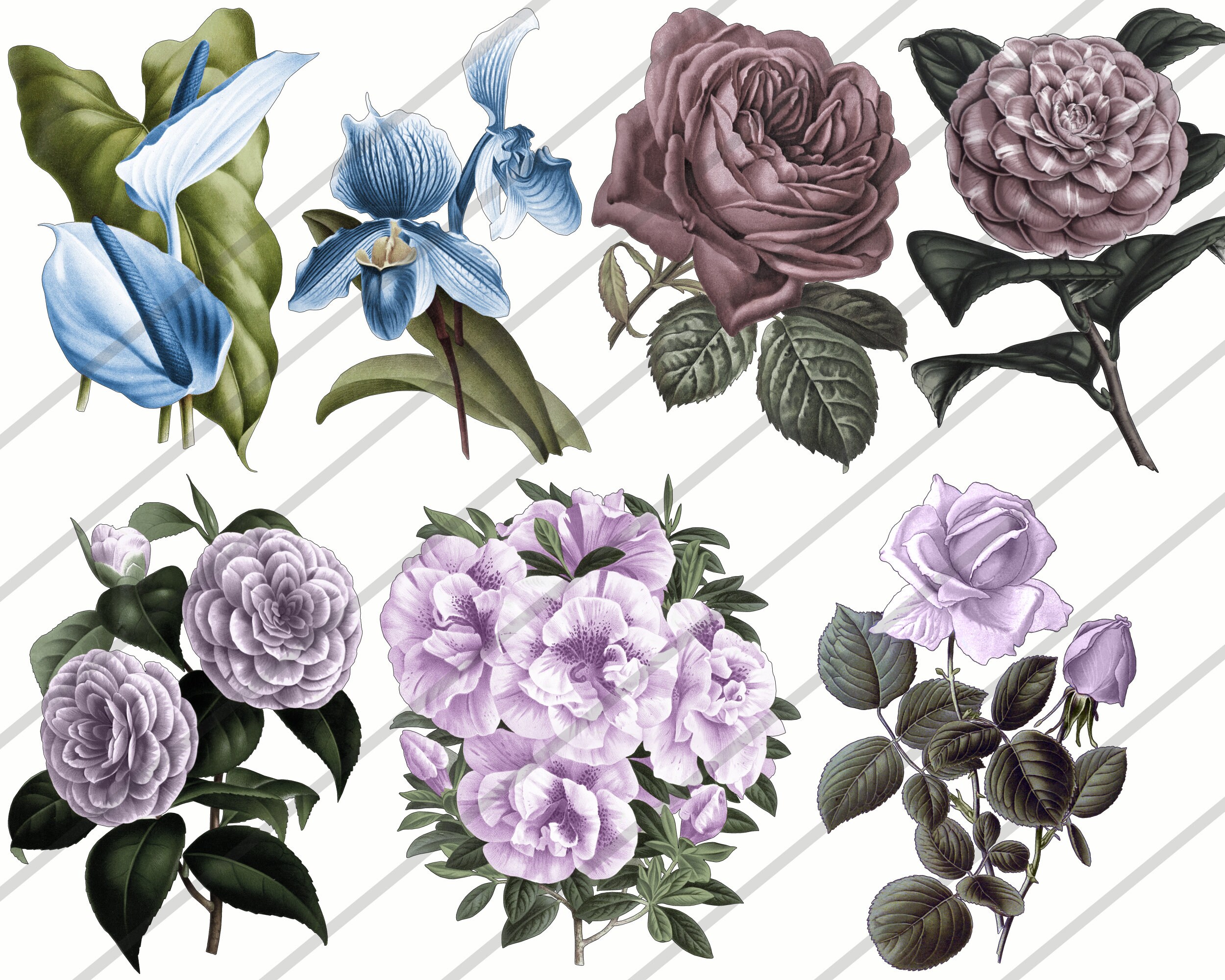 VINTAGE FLOWERS WATERCOLOR Clipart Flower Clip Art Vintage - Etsy