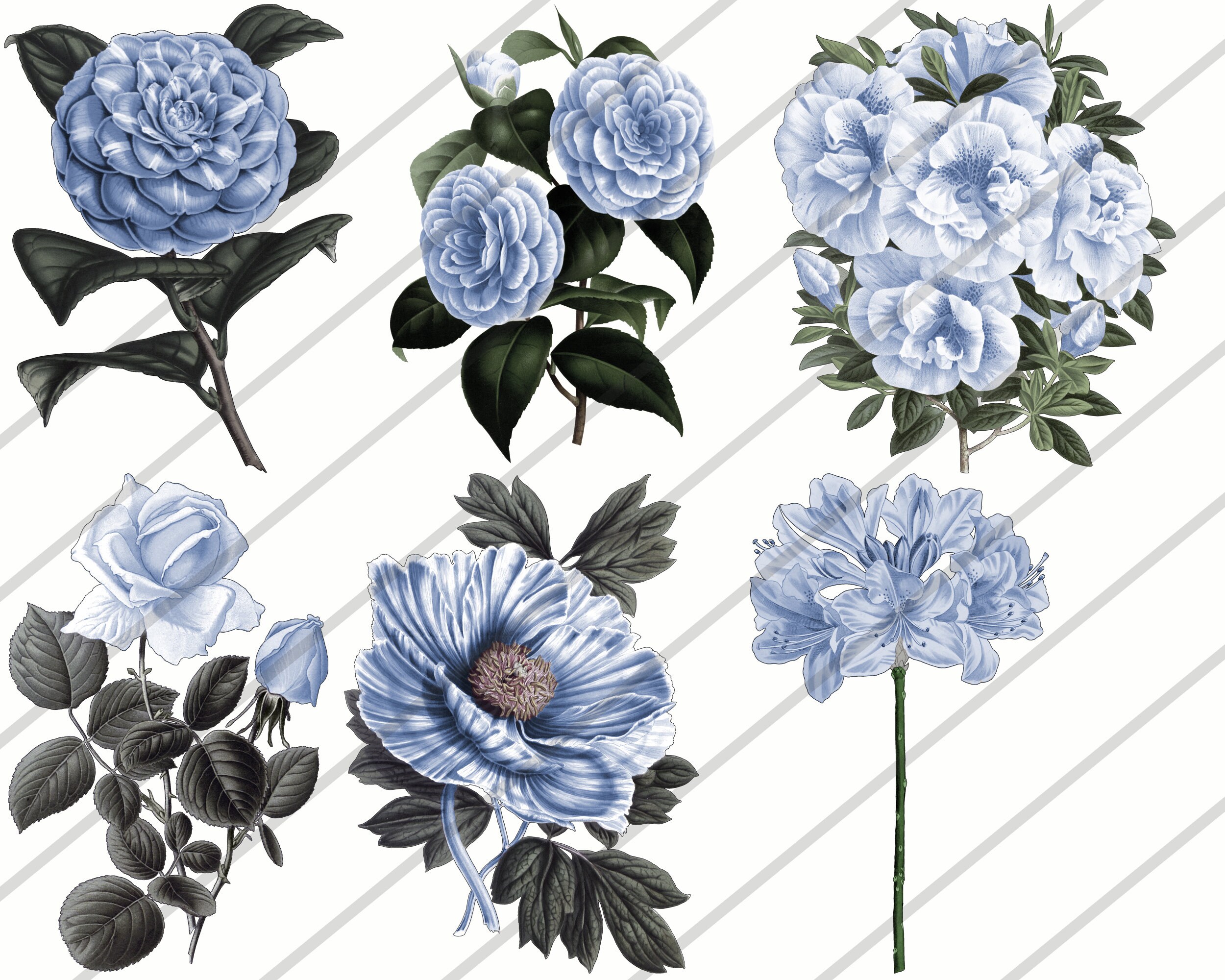VINTAGE FLOWERS WATERCOLOR Clipart Flower Clip Art Vintage - Etsy