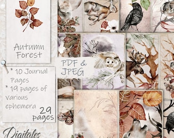 Kit imprimible de diario basura de bosque otoñal, efímeras de bosque otoñal, páginas de naturaleza acogedoras, descarga digital