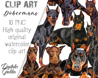 Watercolor Doberman Clip Art: 10 PNG Dog Graphics (Digital Download)