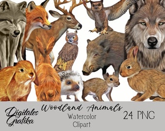 WOODLAND WATERCOLOR CLIPART, Forest Animals Clip Art, Animal Clip Art, Commercial Clipart, Watercolor Animals, Owl, Wolf, Fox, Rabbit