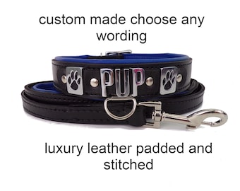 Pup Play Collar And Leash Set I Choose Your Own Words I Pet Play Gear I 30mm Wide l Handmade Pup Gear Human Pup Collar