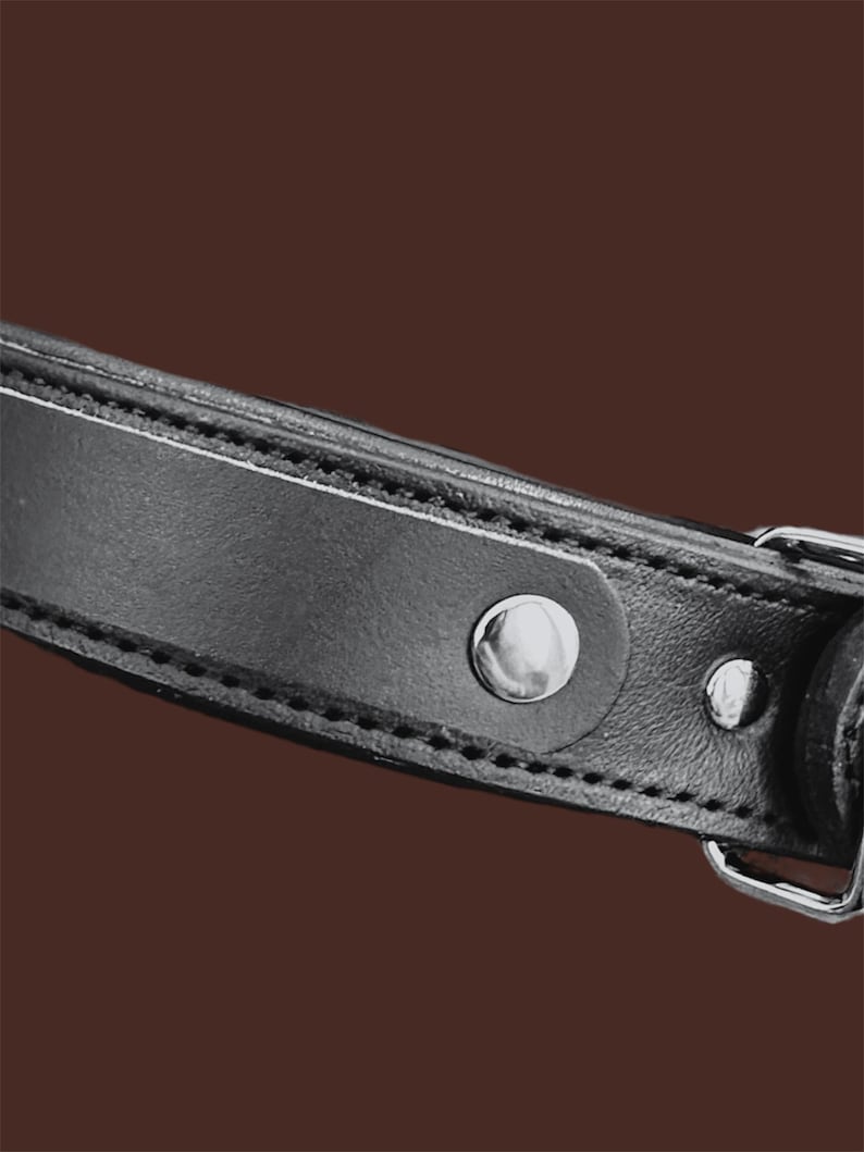 May include: Close-up of a black leather strap with silver-colored metal rivets and a buckle. The strap is stitched with white thread along the edges. The background is a solid brown color.